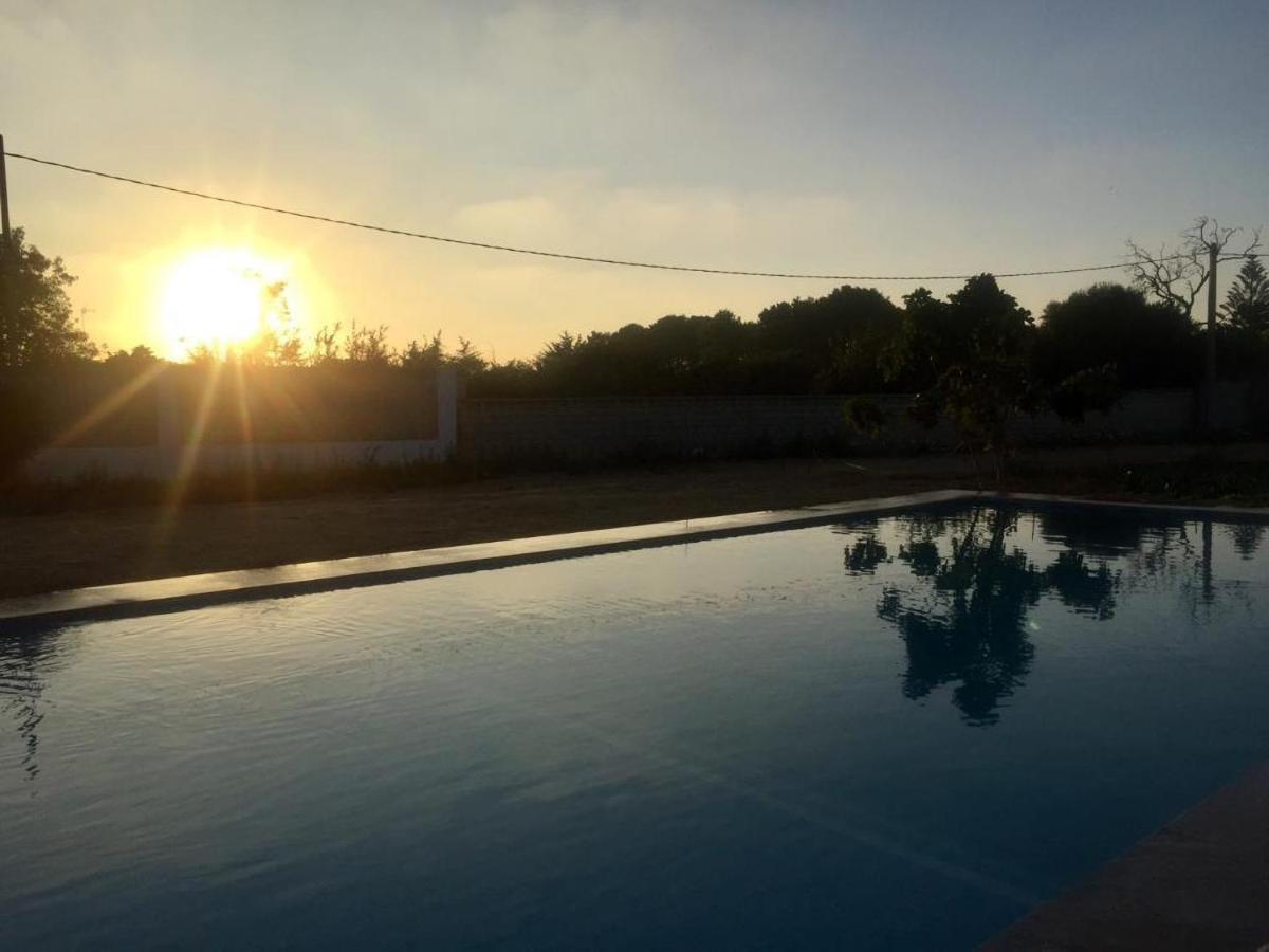 The Farm Tiny House - Tiny Casa Hotel Chiclana de la Frontera Exterior foto