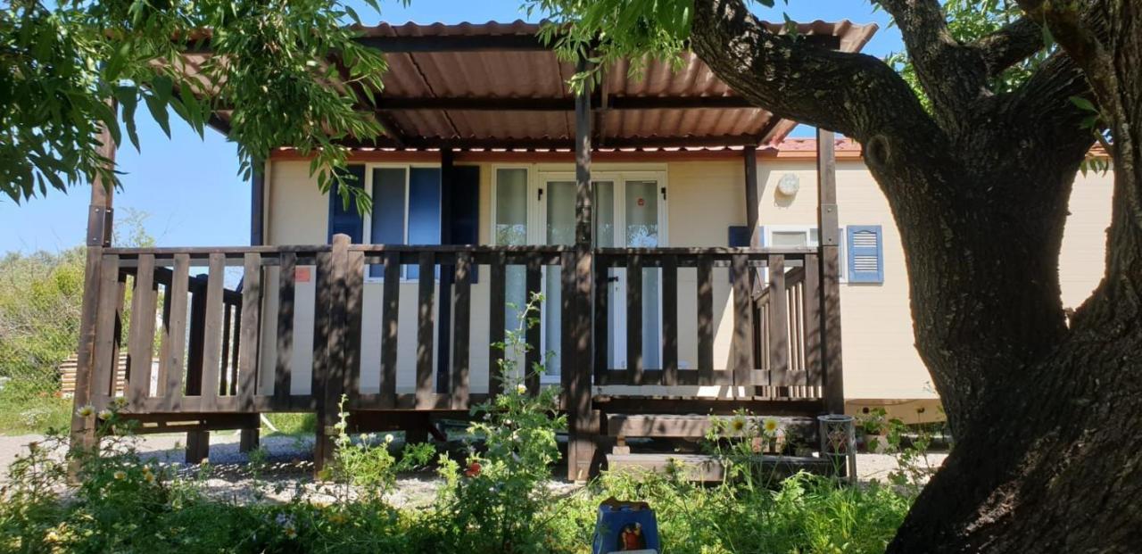 The Farm Tiny House - Tiny Casa Hotel Chiclana de la Frontera Exterior foto