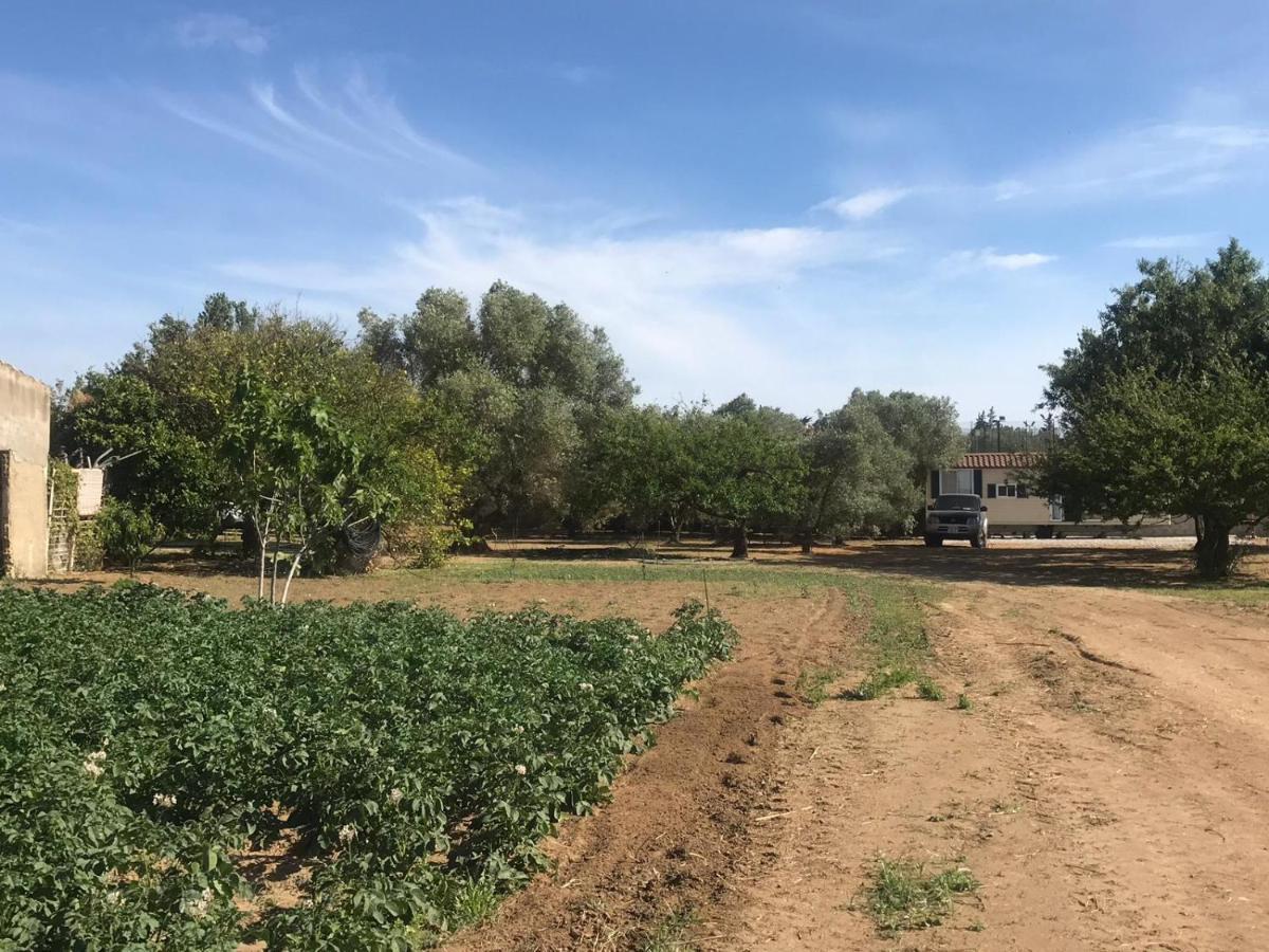 The Farm Tiny House - Tiny Casa Hotel Chiclana de la Frontera Exterior foto