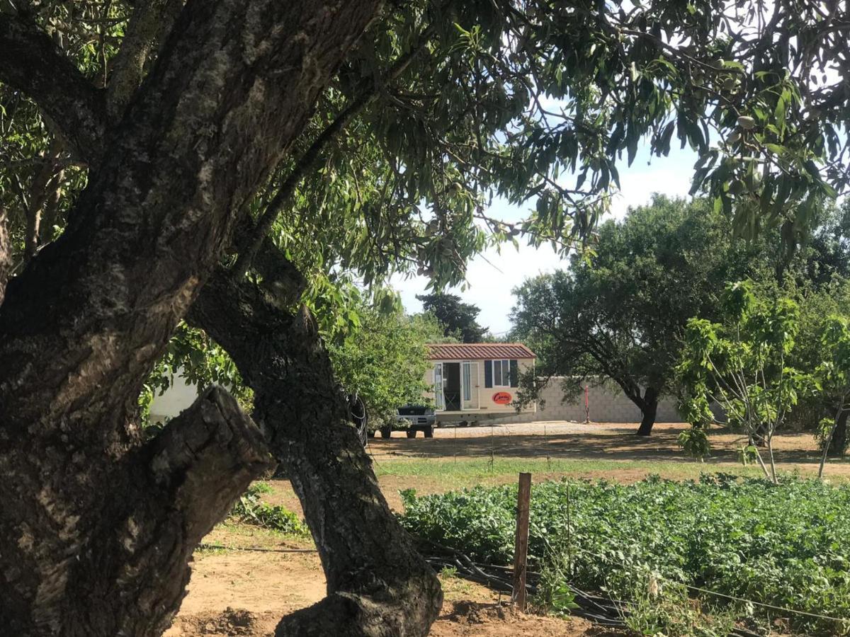 The Farm Tiny House - Tiny Casa Hotel Chiclana de la Frontera Exterior foto